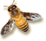 bzzzzzz